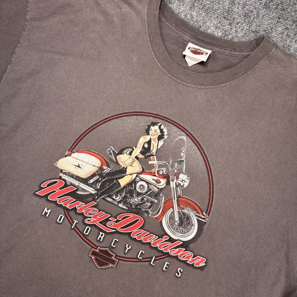 Harley Davidson San Diego California Shirt 2XL Gray Hanes Beefy RK Stratman